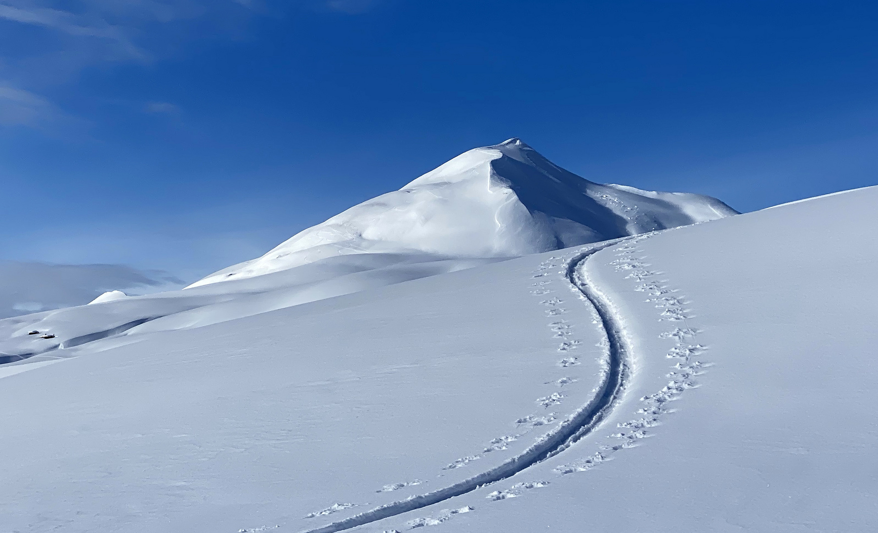 Der Weg nach lichtvollen Höhen