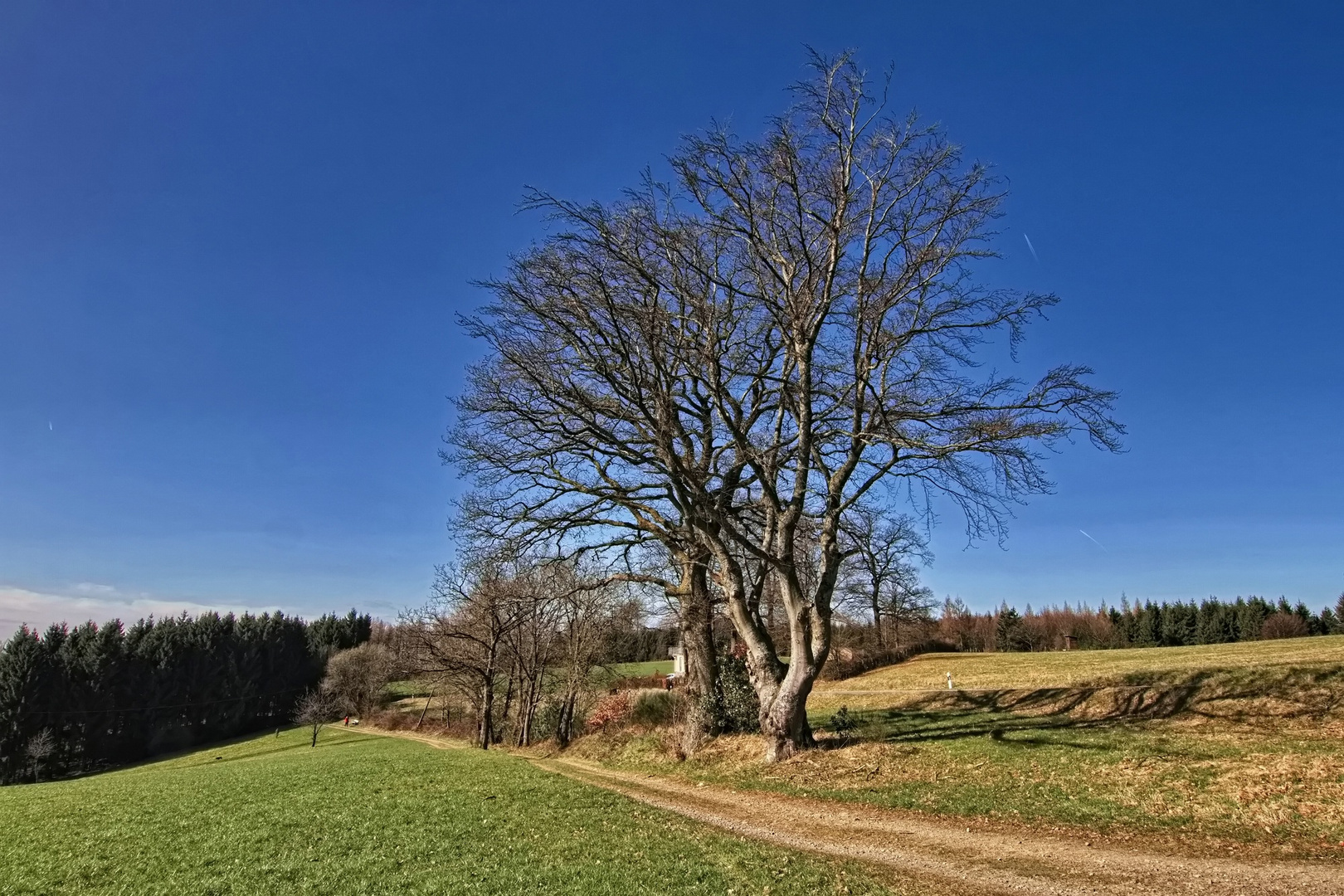 Der Weg nach Müllenbach