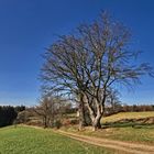 Der Weg nach Müllenbach