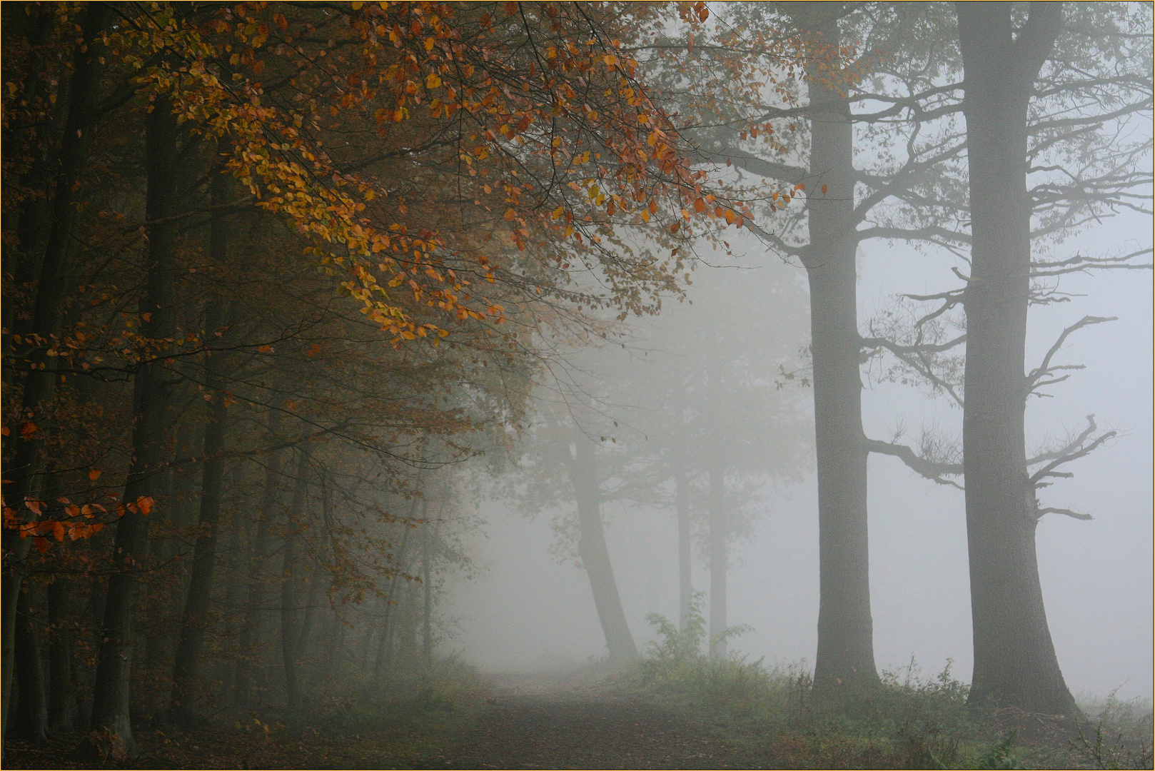 Der Weg nach Nebelheim