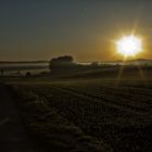 Der Weg nach Nebeltal