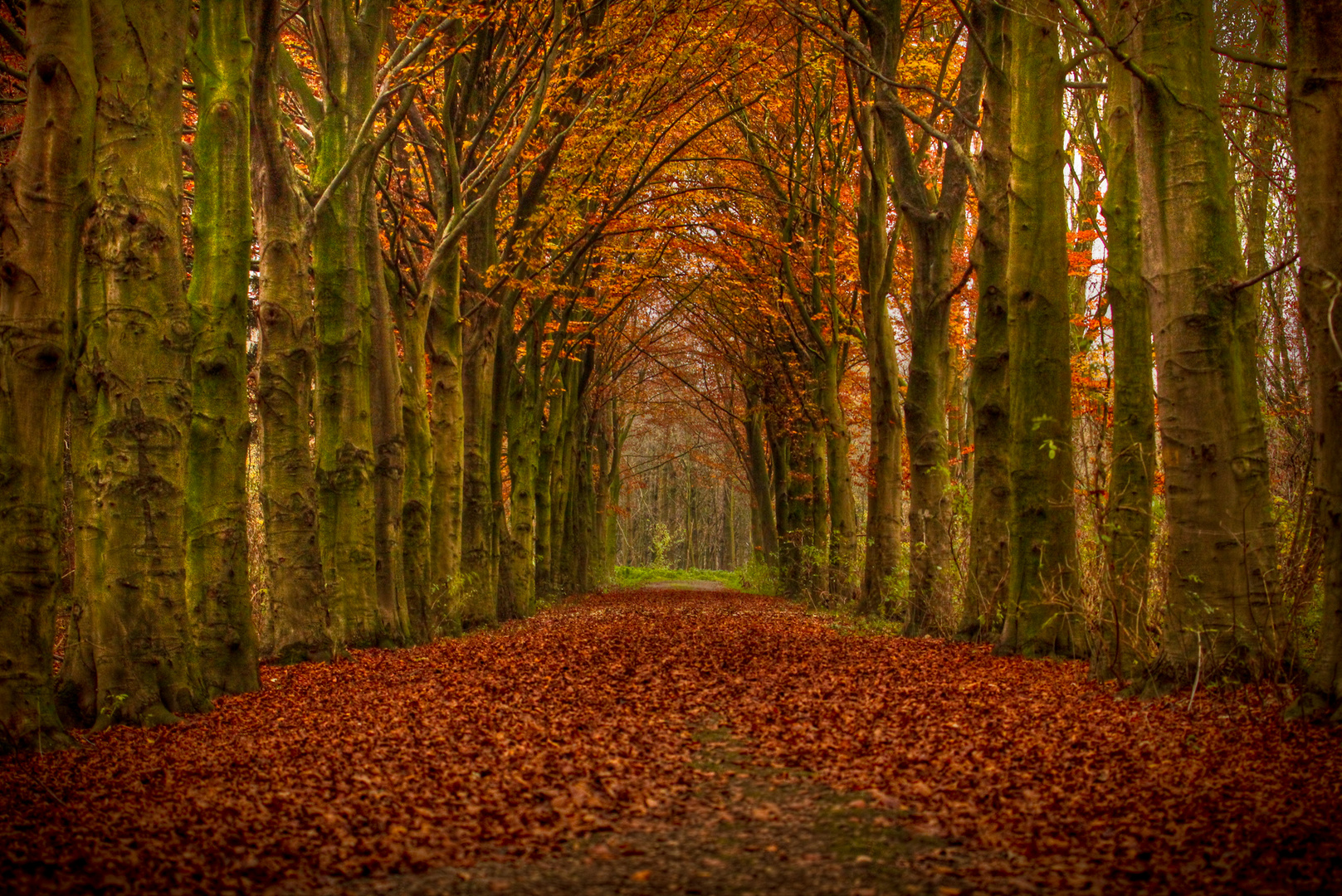 Der Weg nach Nirgendwo