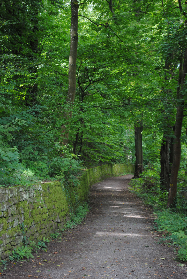 der Weg nach nirgendwo...