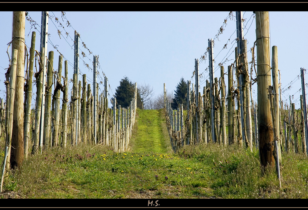 Der Weg nach oben