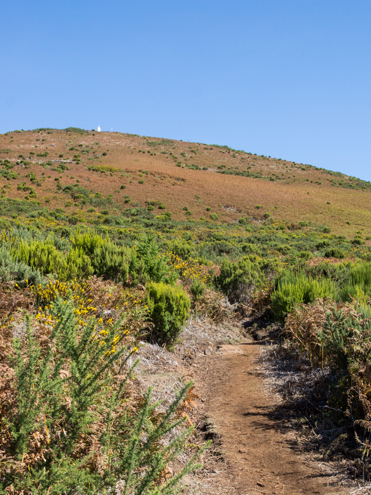 Der Weg nach oben