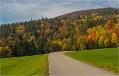 Der Weg nach oben