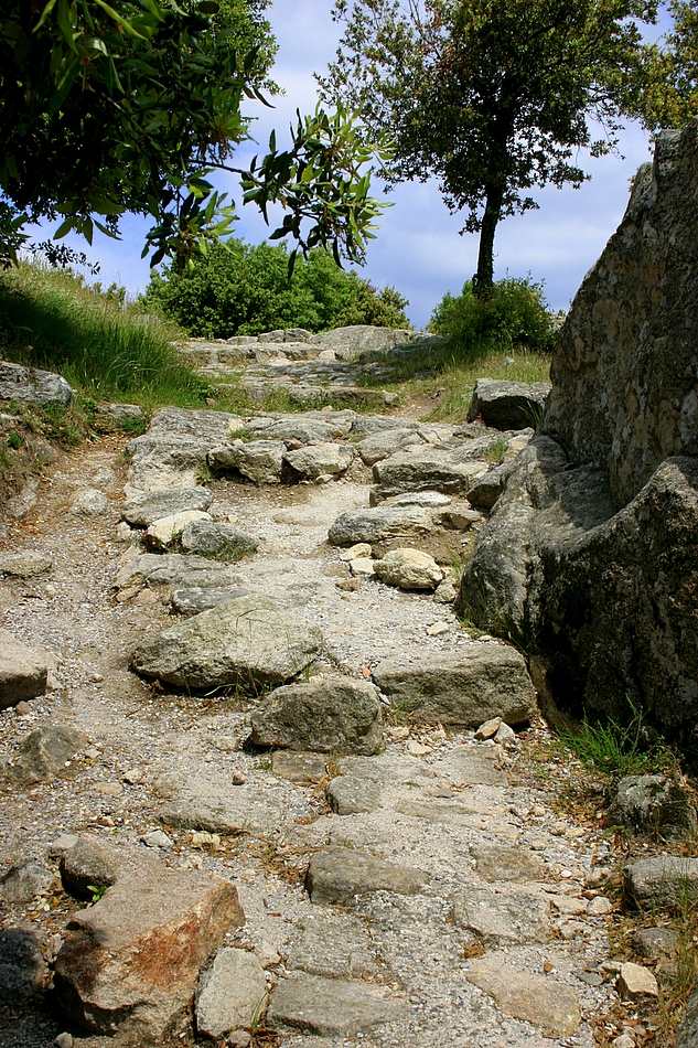 der Weg nach oben !