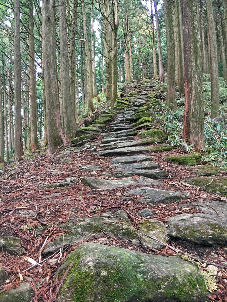 Der Weg nach oben