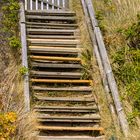 Der Weg nach oben