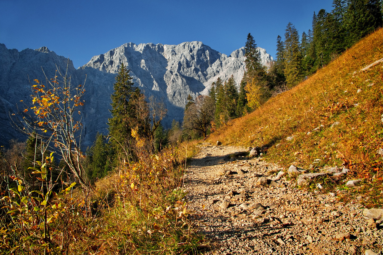 Der Weg nach oben