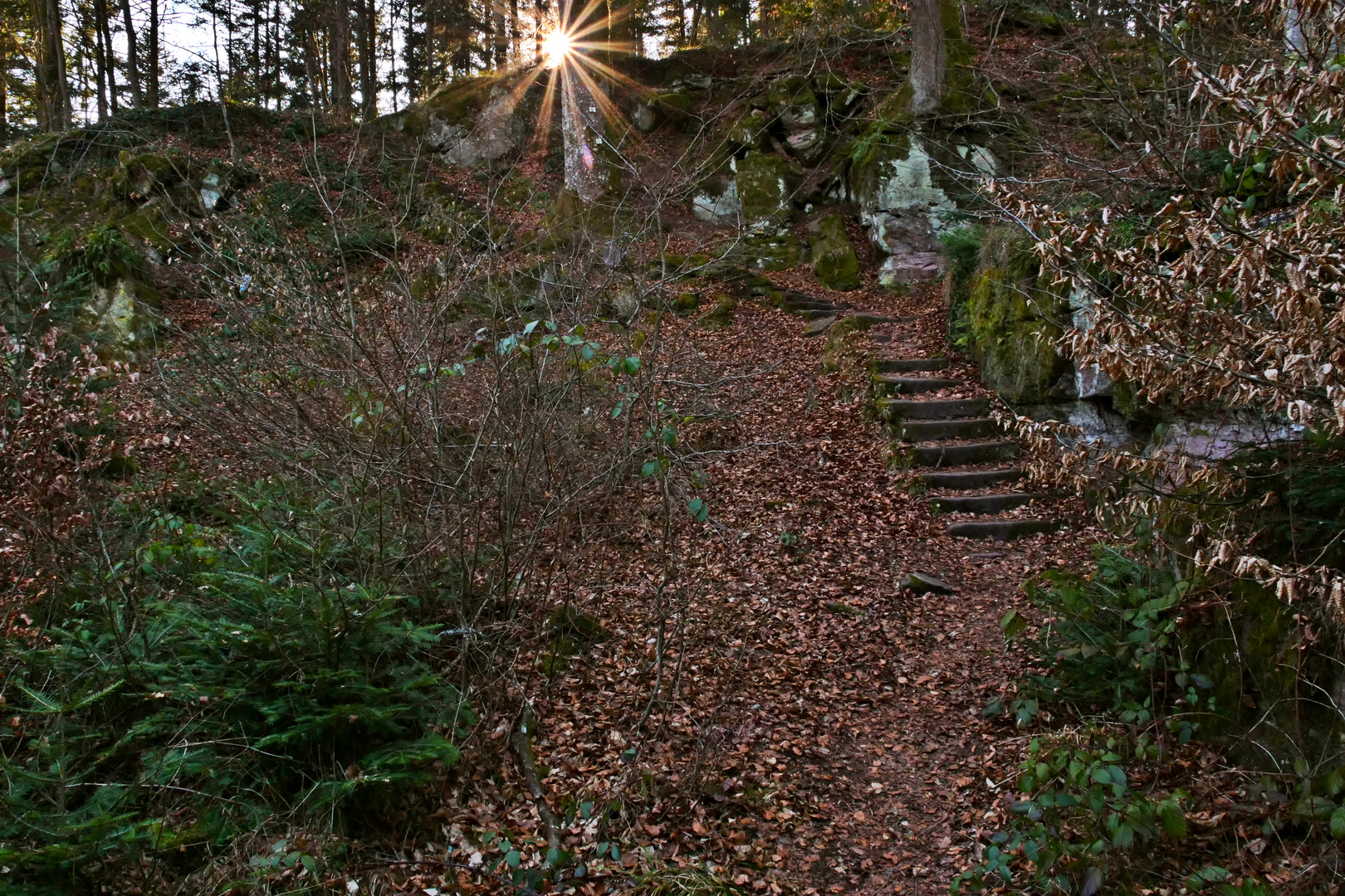 Der Weg nach oben