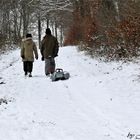 der Weg nach oben