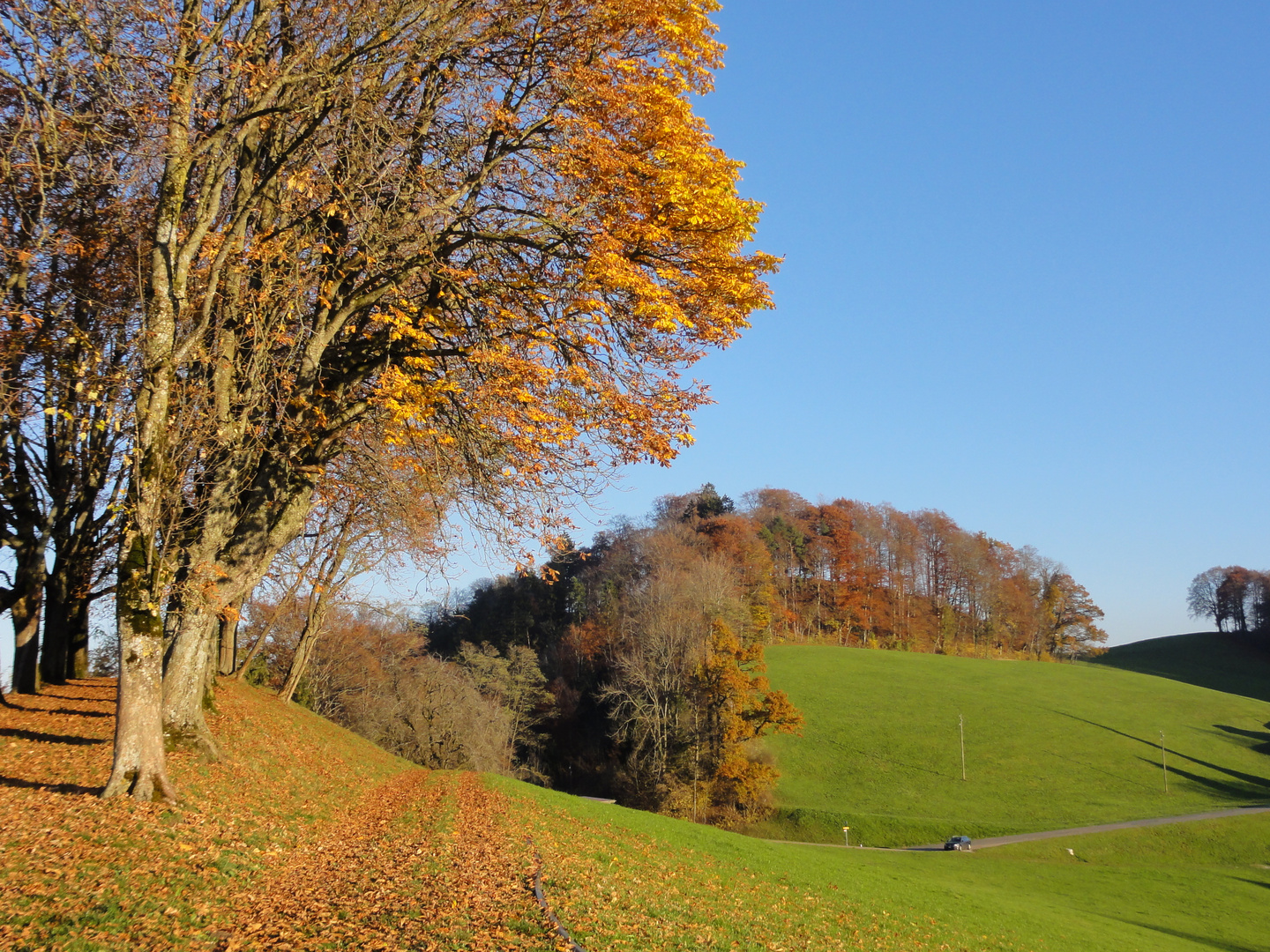 Der Weg nach Osten