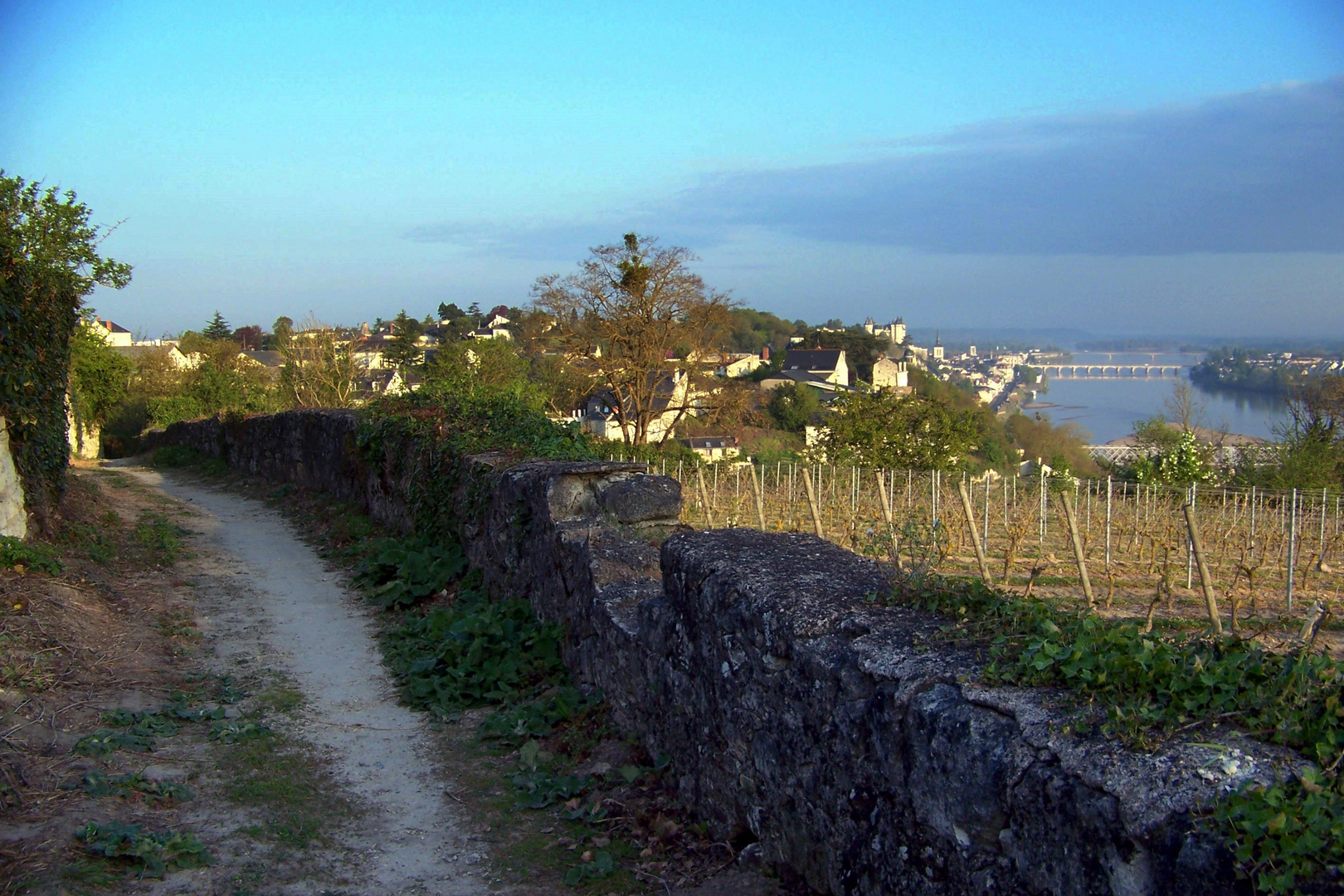 Der Weg nach Saumur