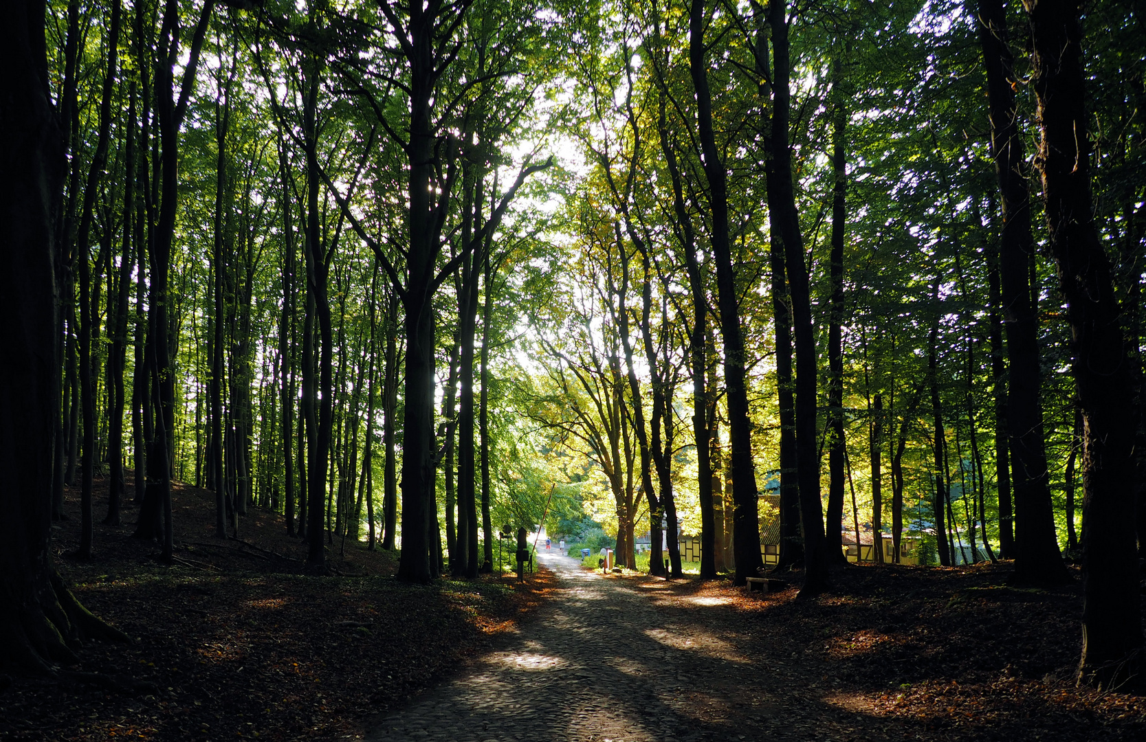 Der Weg nach Schloß Granitz ...