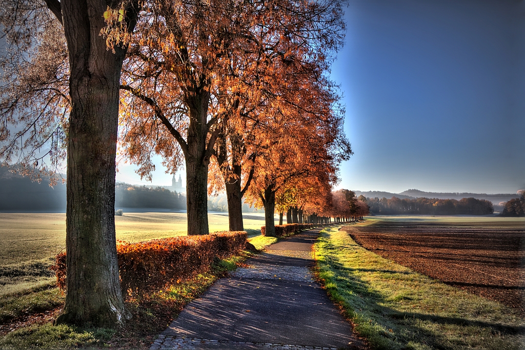 Der Weg nach Vierzehnheiligen