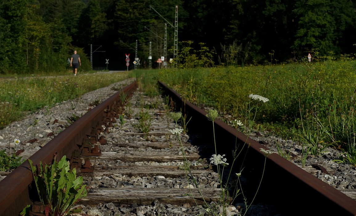 Der Weg nach Vorn führt durch die Mitte