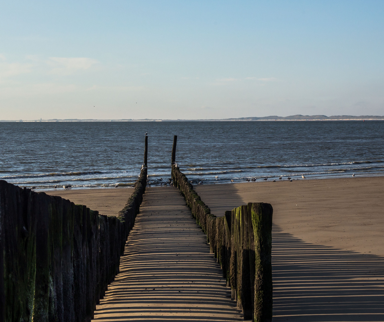 Der Weg nach vorne