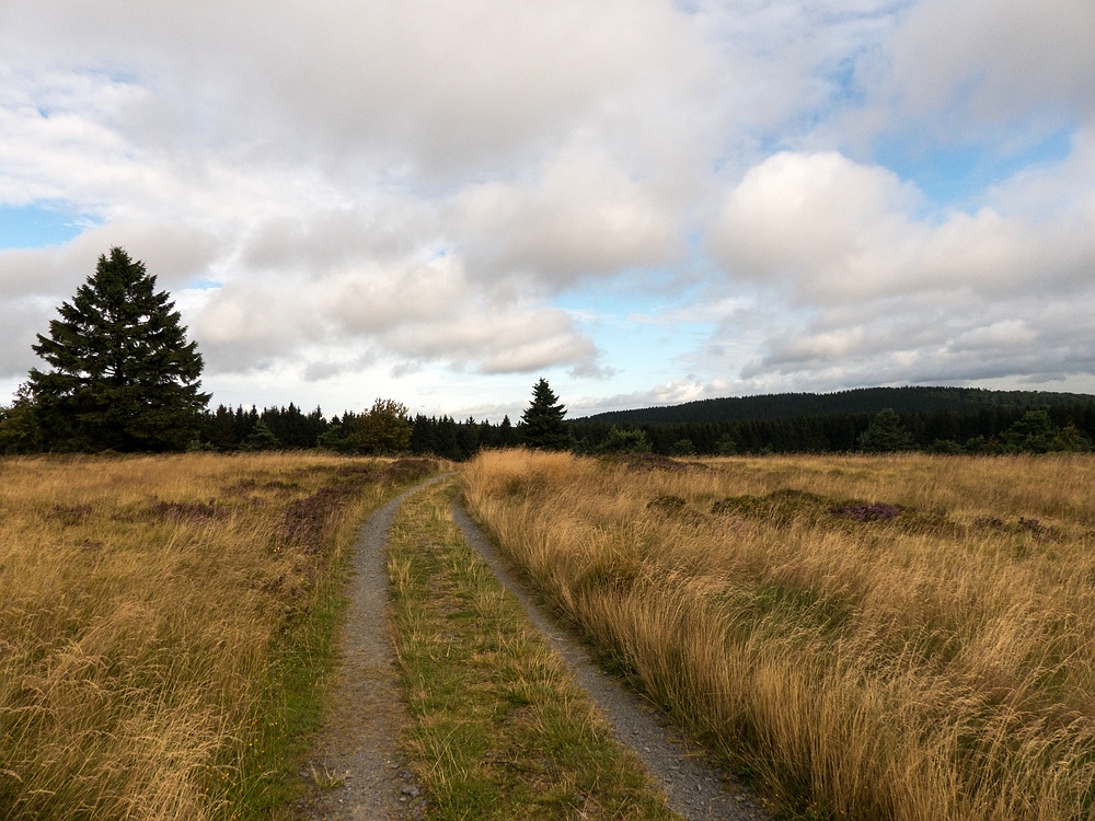 Der Weg nach Westen