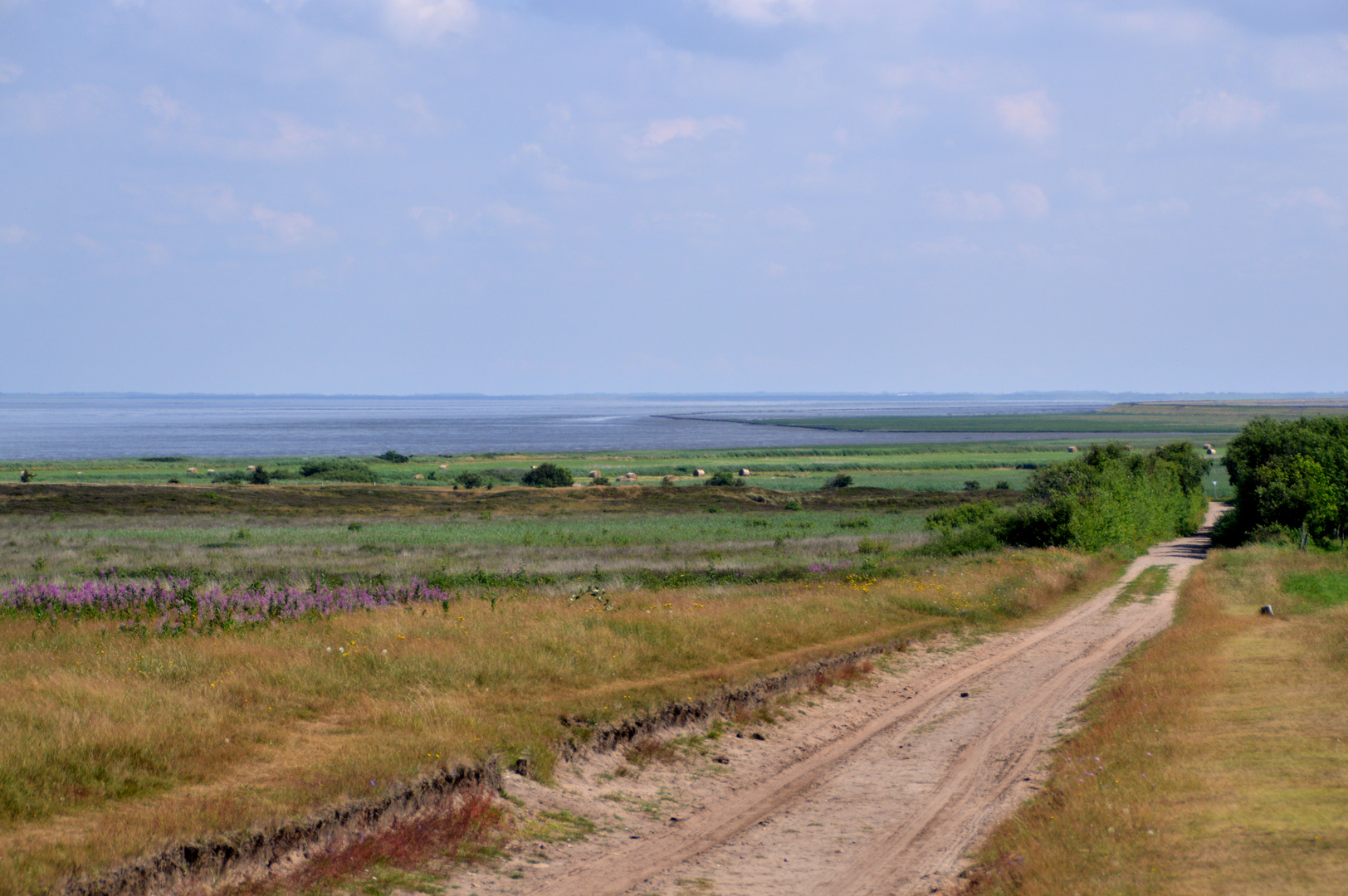 Der Weg neben der Wiese