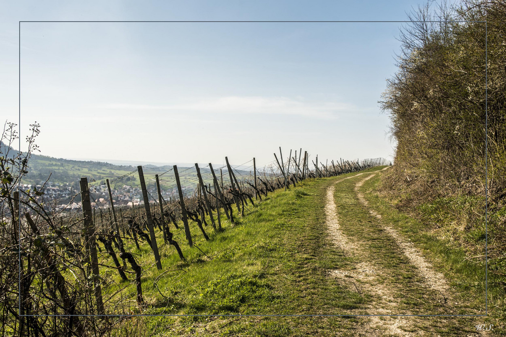 der Weg oberhalb vom Weinberg