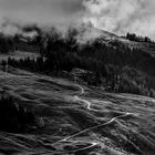 Der Weg | Ochsalm / Hochbrunn Alm, Tirol, Österreich