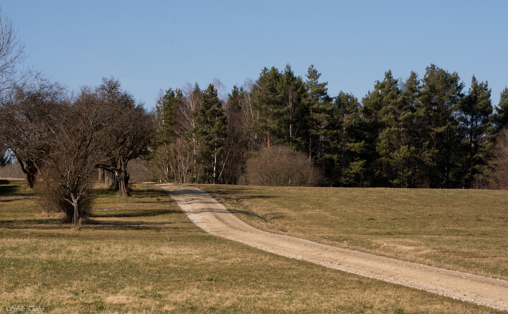 Der Weg Richtung Frühling