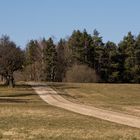 Der Weg Richtung Frühling