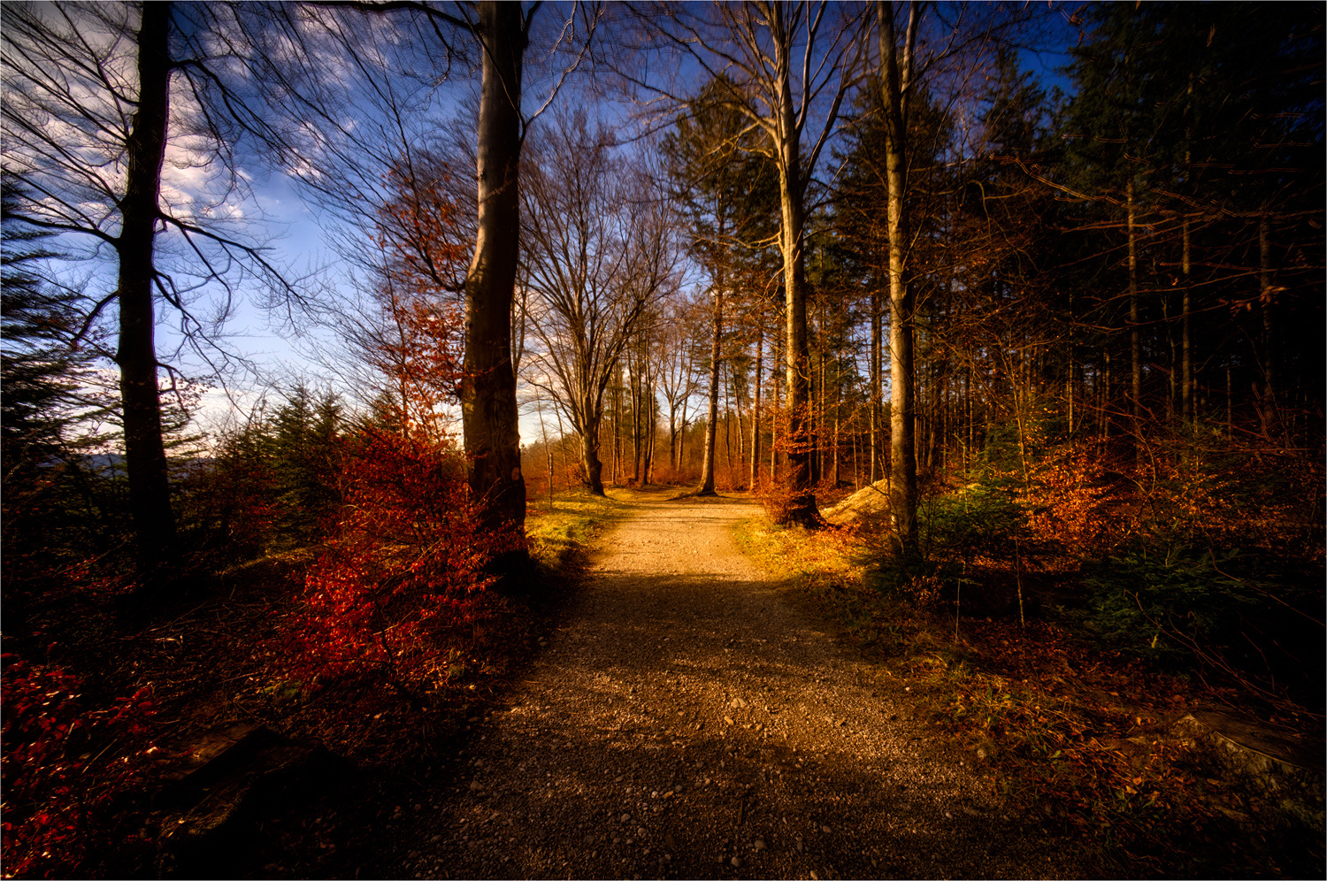 Der Weg runter zur Isar ...