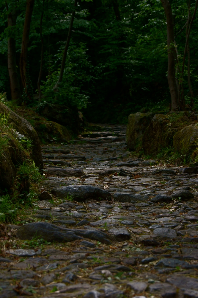 Der Weg © Simon Wieland