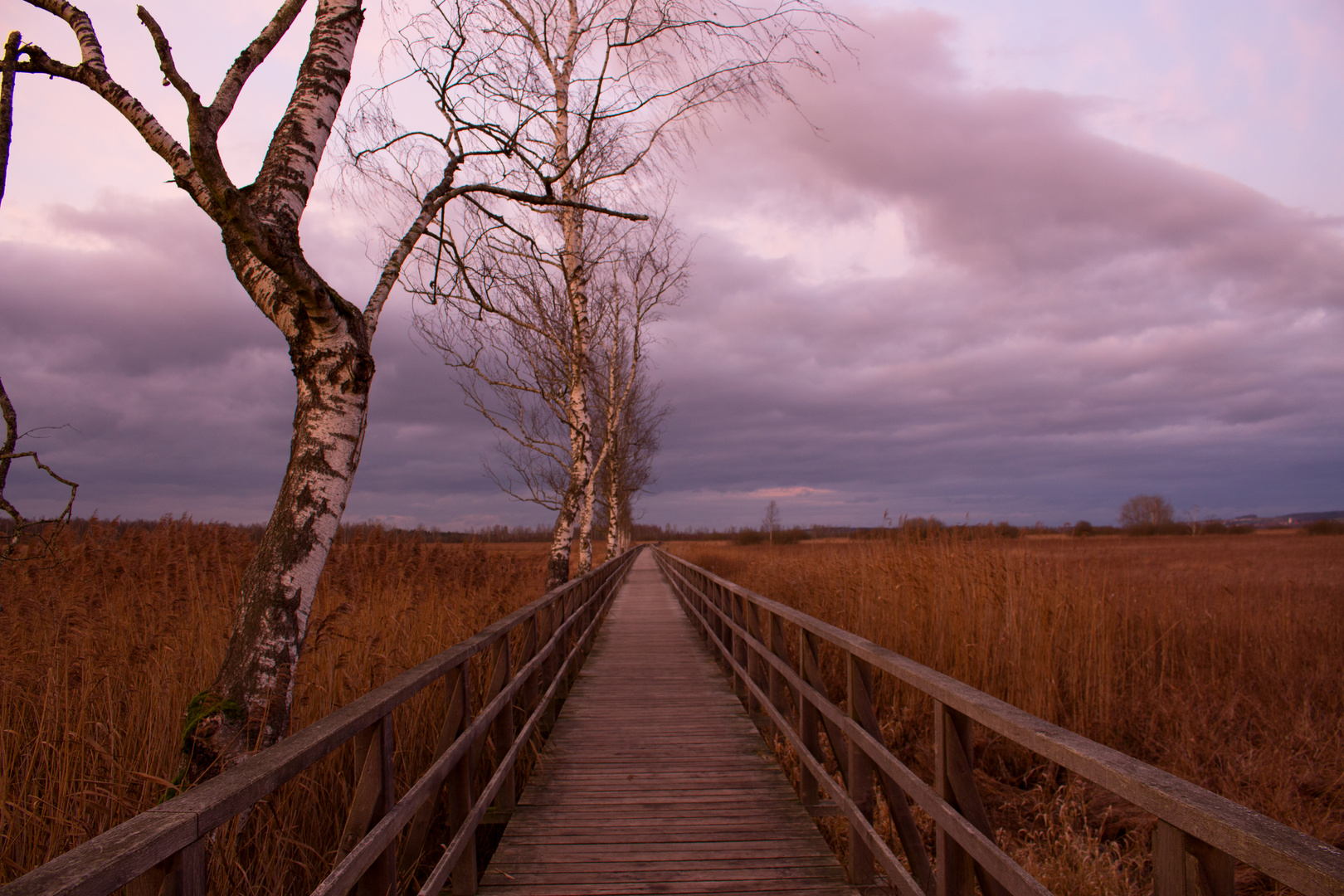 Der weg über den Federsee