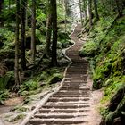 Der Weg über die Schwedenlöcher zur Bastei Elbsandsteingebirge