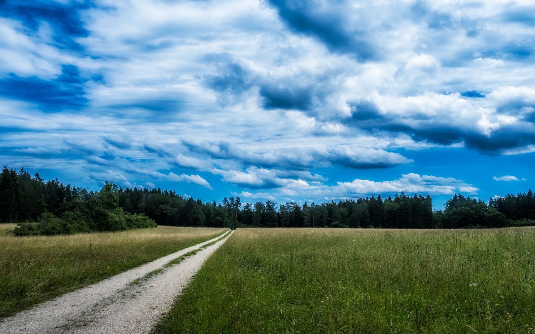 Der Weg über die Wiese