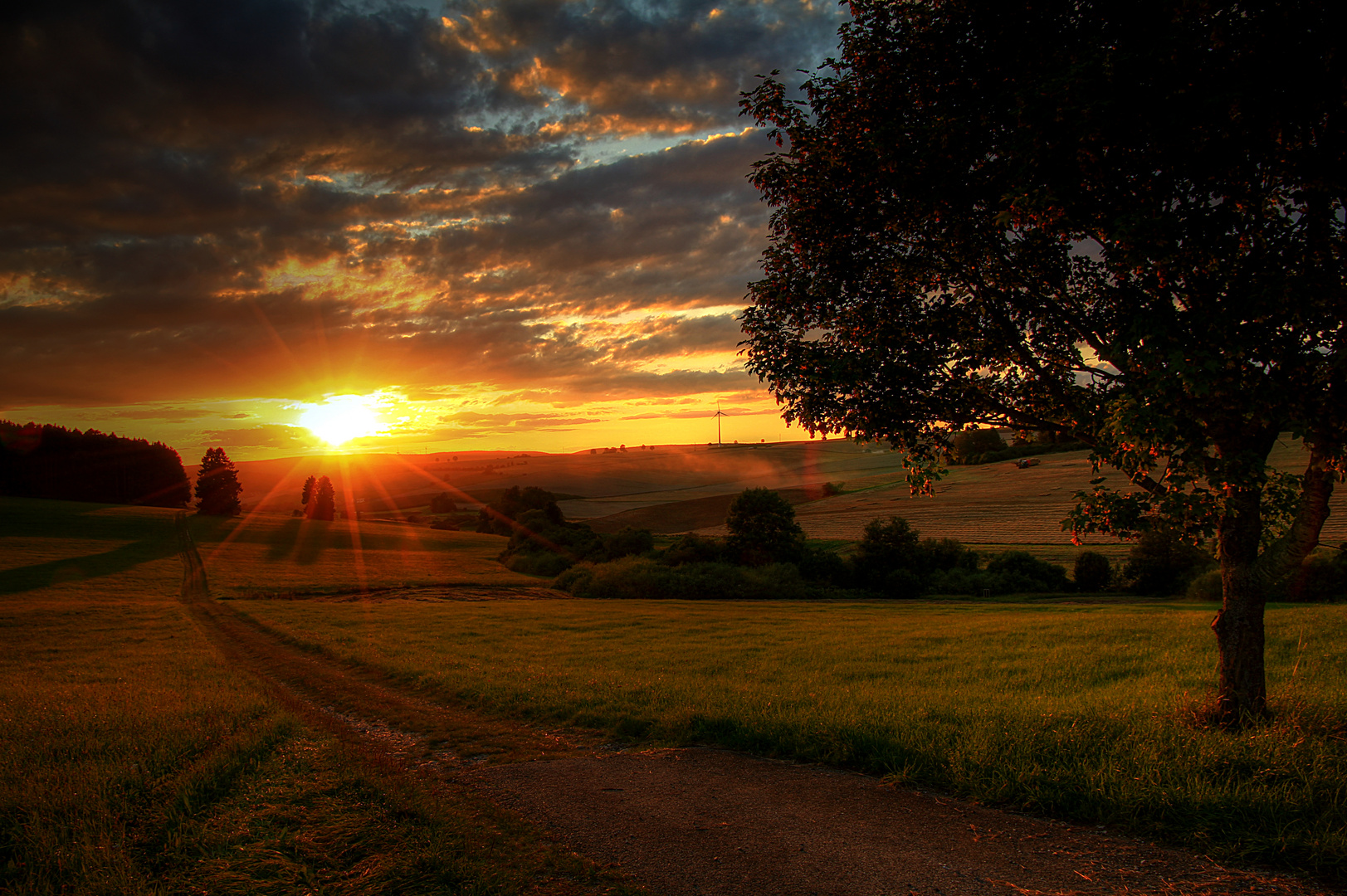 Der Weg über Felder bei abendlichem Licht