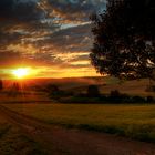 Der Weg über Felder bei abendlichem Licht