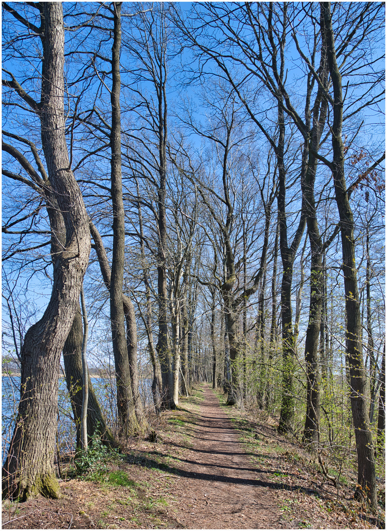 der Weg um den See