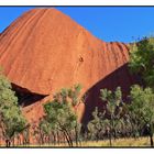 der Weg um den Uluru (2) oder doch ein Wal ?