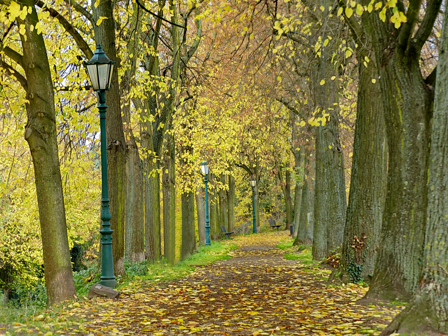 Der Weg um die Stadtmauer in Zons 