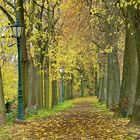 Der Weg um die Stadtmauer in Zons 