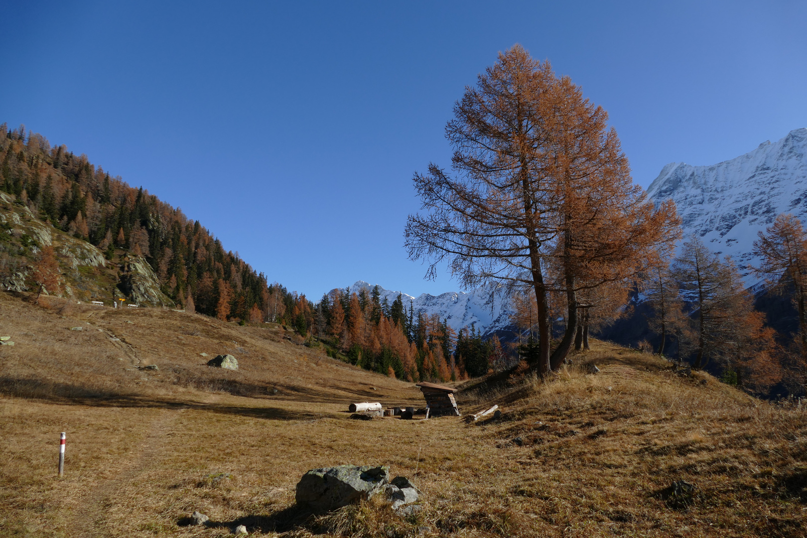 Der Weg um Schwarzsee