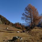 Der Weg um Schwarzsee