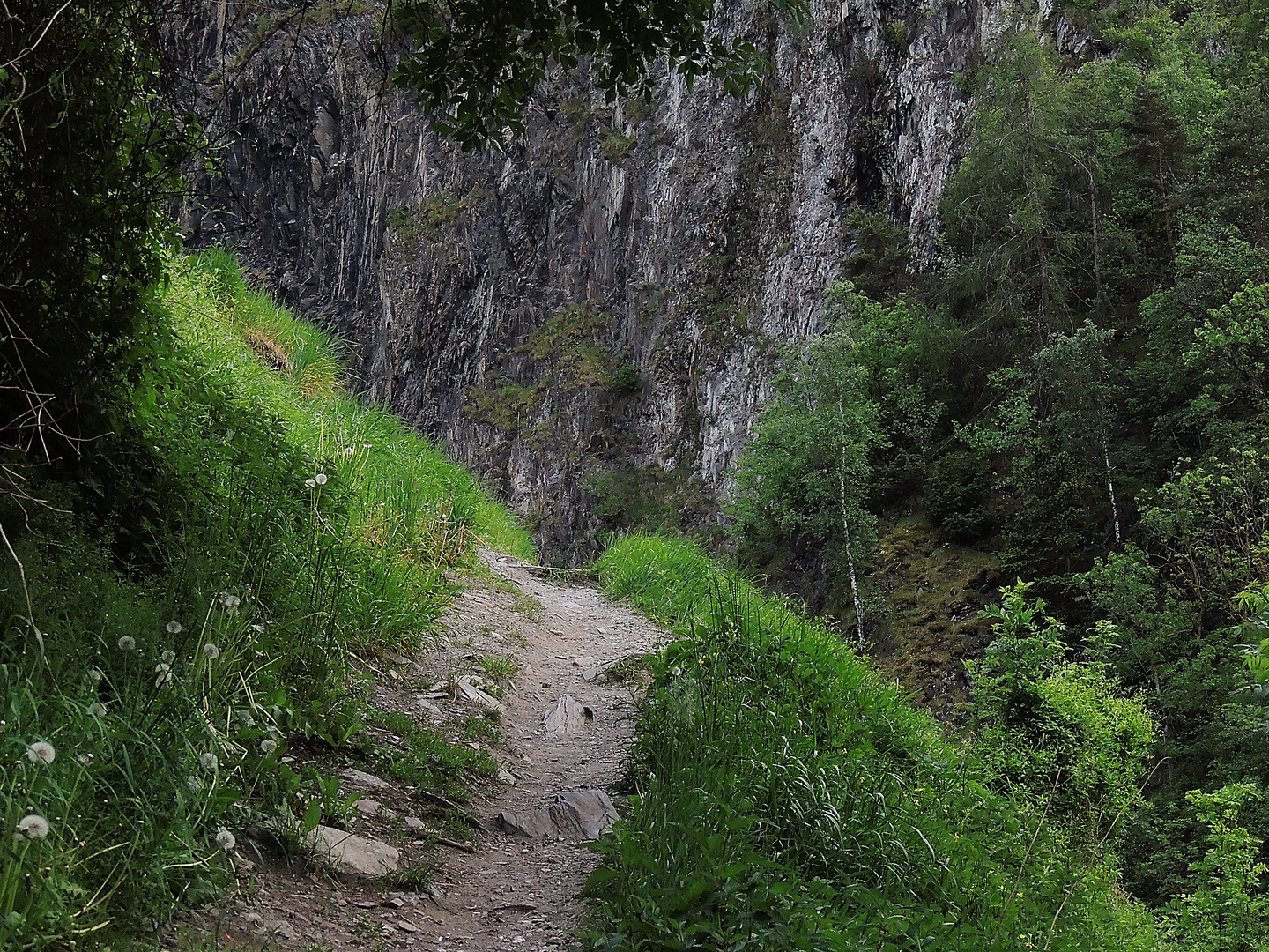 Der Weg und das Vertrauen