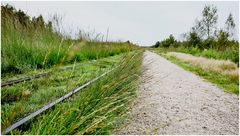 der Weg und Gleise