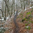 Der Weg - unterwegs am Rheinsteig