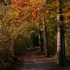 Der Weg vom Herbst