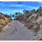 Der Weg vom Strand