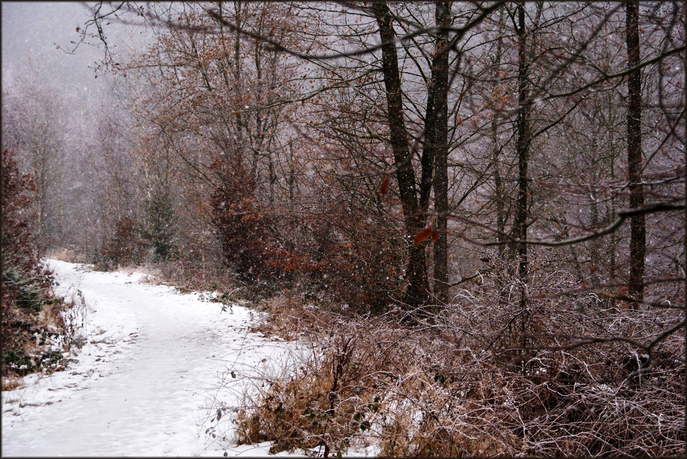 Der Weg von Andreas