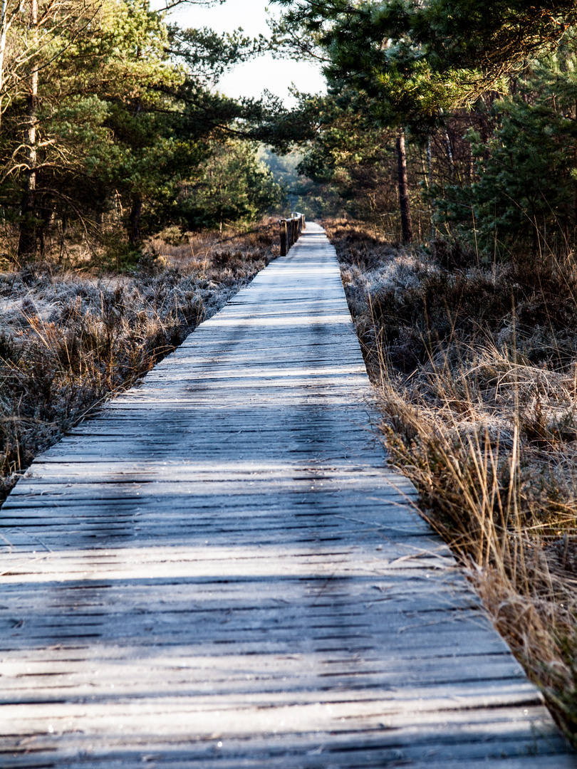 Der Weg war das Ziel