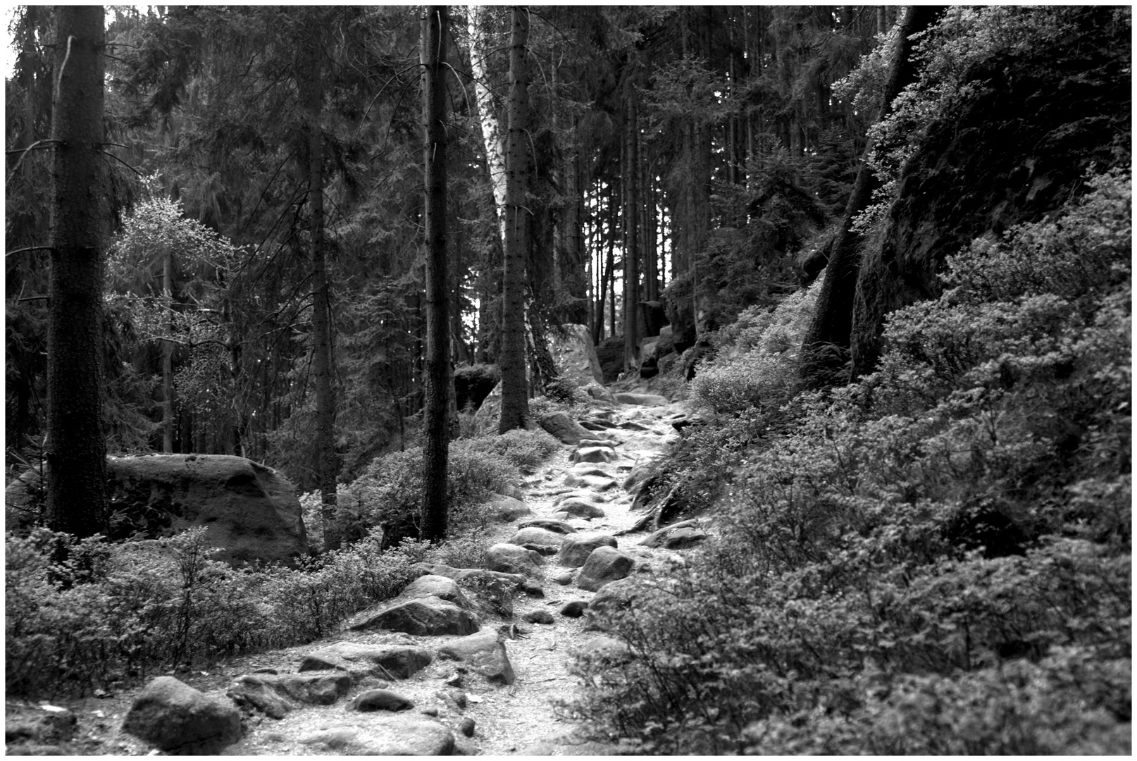 Der Weg wird kein leichter sein.....