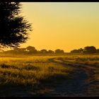 - Der Weg- Zentral Kalahari